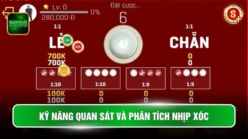 Kỹ năng quan sát và phân tích nhịp xóc